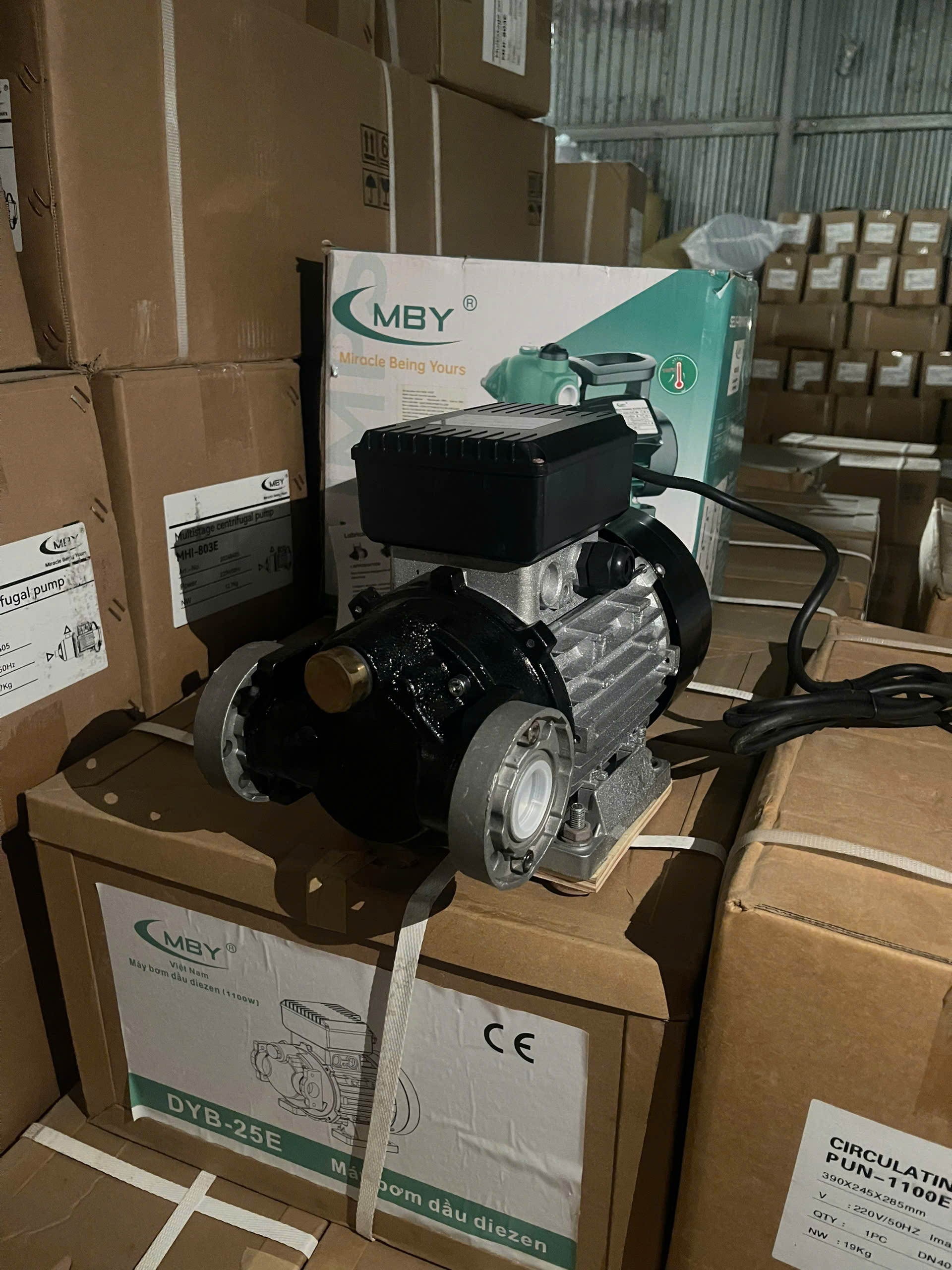Máy bơm dầu diesel DYB-25E